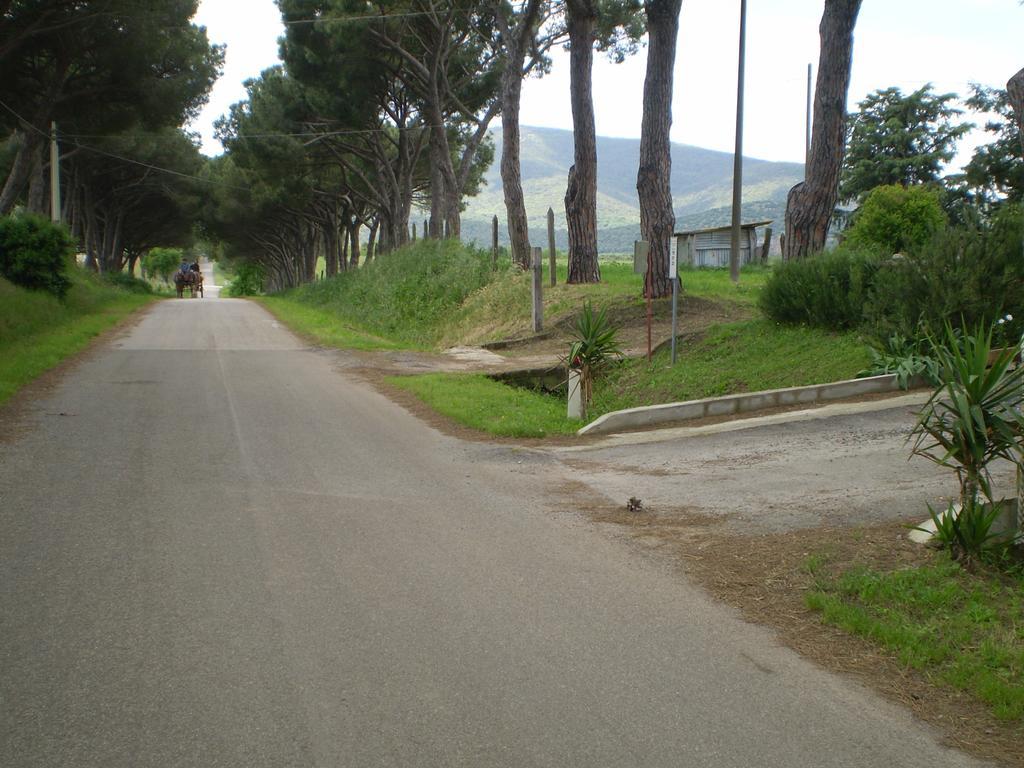 Agriturismo Ternova Alberese Zewnętrze zdjęcie