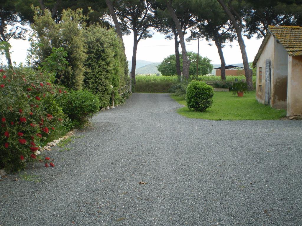 Agriturismo Ternova Alberese Zewnętrze zdjęcie