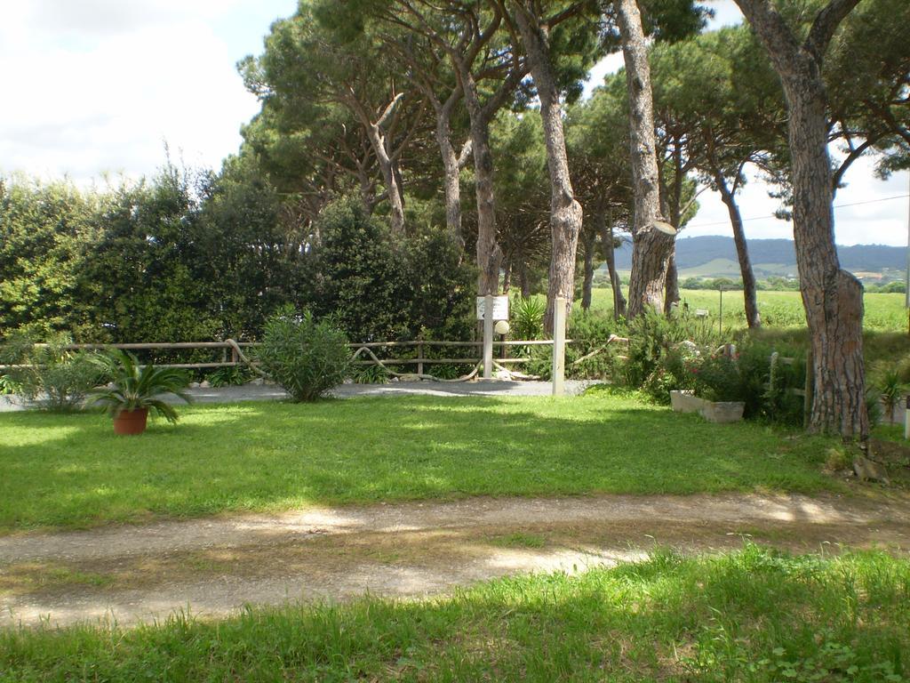 Agriturismo Ternova Alberese Zewnętrze zdjęcie